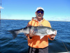 Plum Island striper caught by Mark Boynton